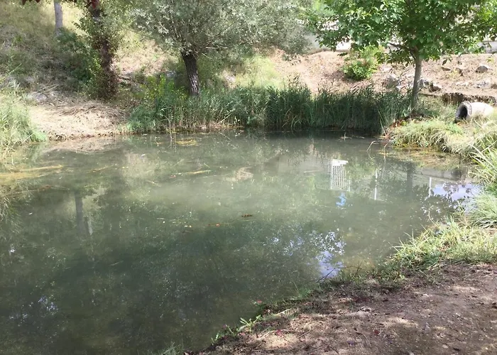 Mazet Lavande