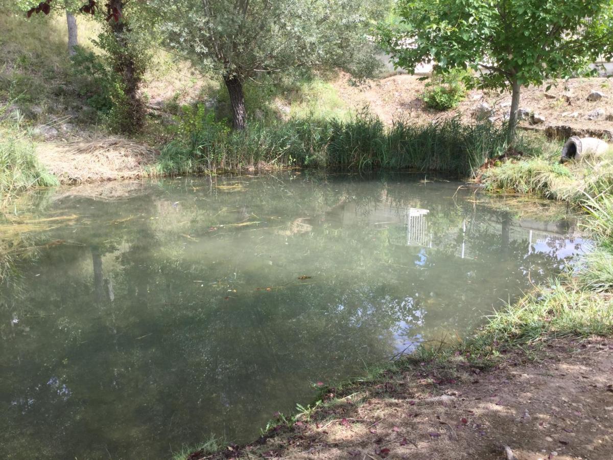 Mazet Lavande Holiday home Saint-Martin-de-Bromes