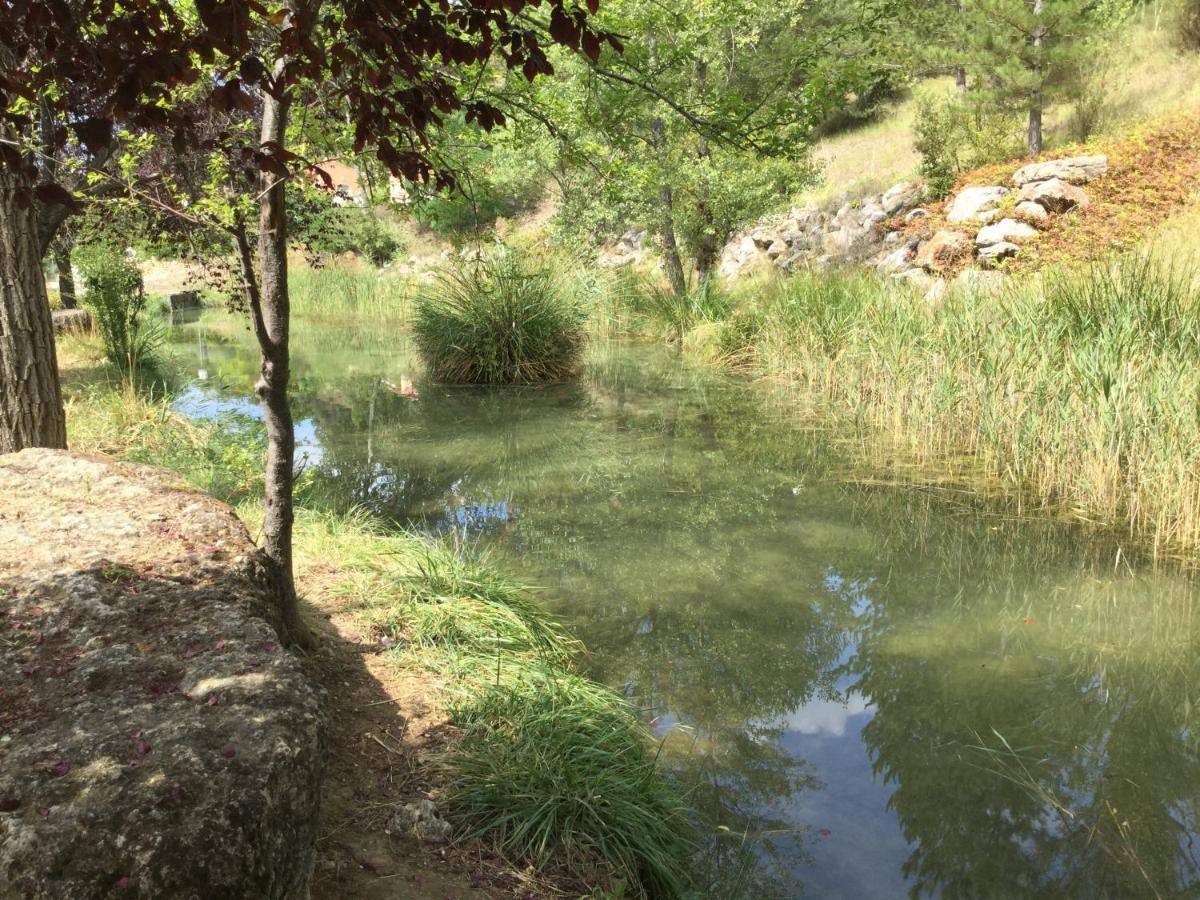 Mazet Lavande * Saint-Martin-de-Bromes