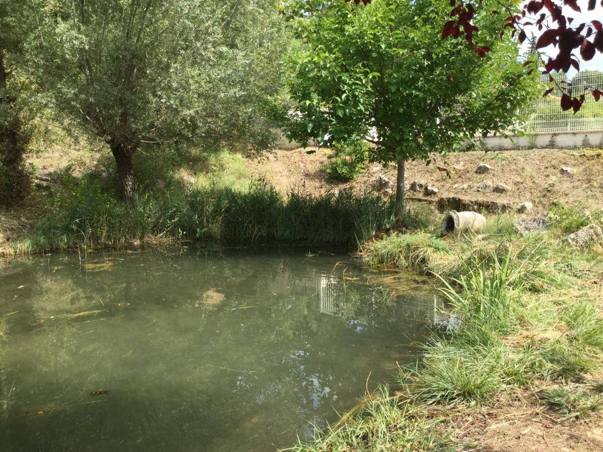 Mazet Lavande Holiday home